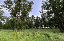 REDUCERE! Teren parțial intravilan 23.500 mp, cu apă, curent și supraveghere video pe toată suprafața, Bucovăț