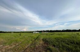 REDUCERE! Teren parțial intravilan 23.500 mp, cu apă, curent și supraveghere video pe toată suprafața, Bucovăț