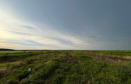 REDUCERE! Teren parțial intravilan 23.500 mp, cu apă, curent și supraveghere video pe toată suprafața, Bucovăț