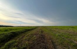 REDUCERE! Teren parțial intravilan 23.500 mp, cu apă, curent și supraveghere video pe toată suprafața, Bucovăț