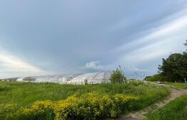 REDUCERE! Teren parțial intravilan 23.500 mp, cu apă, curent și supraveghere video pe toată suprafața, Bucovăț