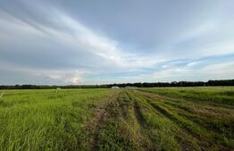 REDUCERE! Teren parțial intravilan 23.500 mp, cu apă, curent și supraveghere video pe toată suprafața, Bucovăț