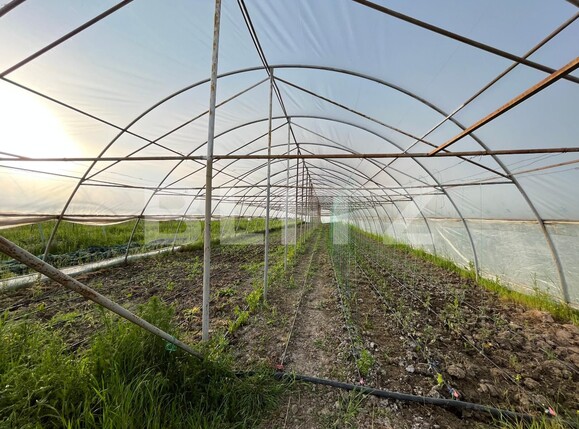 Teren de vânzare Bucovat - 117887TV | BLITZ Craiova | Poza10