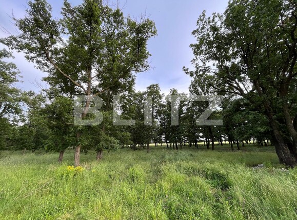 Teren de vânzare Bucovat - 117887TV | BLITZ Craiova | Poza1