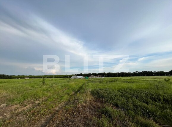 Teren de vânzare Bucovat - 117887TV | BLITZ Craiova | Poza6