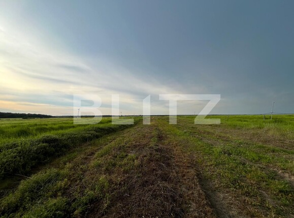 Teren de vânzare Bucovat - 117887TV | BLITZ Craiova | Poza7