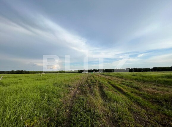 Teren de vânzare Bucovat - 117887TV | BLITZ Craiova | Poza8