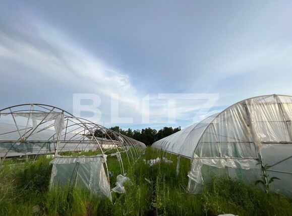 Teren de vânzare Bucovat - 117887TV | BLITZ Craiova | Poza9