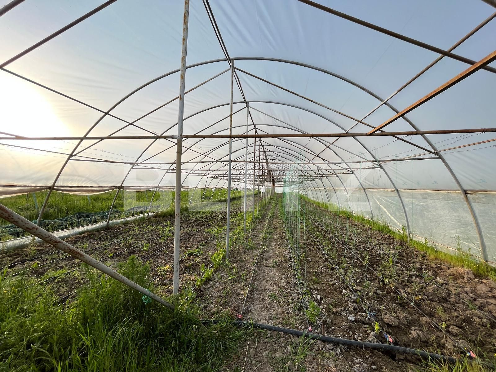 Teren de vânzare Bucovat - 117887TV | BLITZ Craiova | Poza10