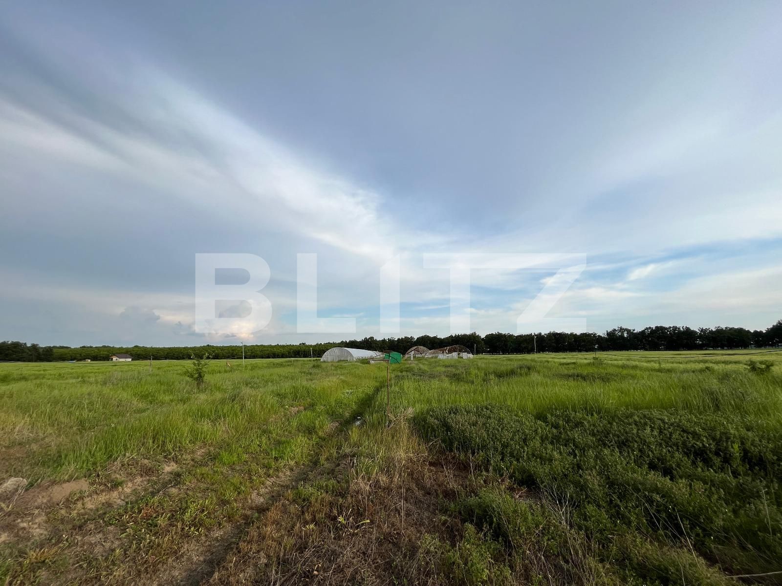 Teren de vânzare Bucovat - 117887TV | BLITZ Craiova | Poza6