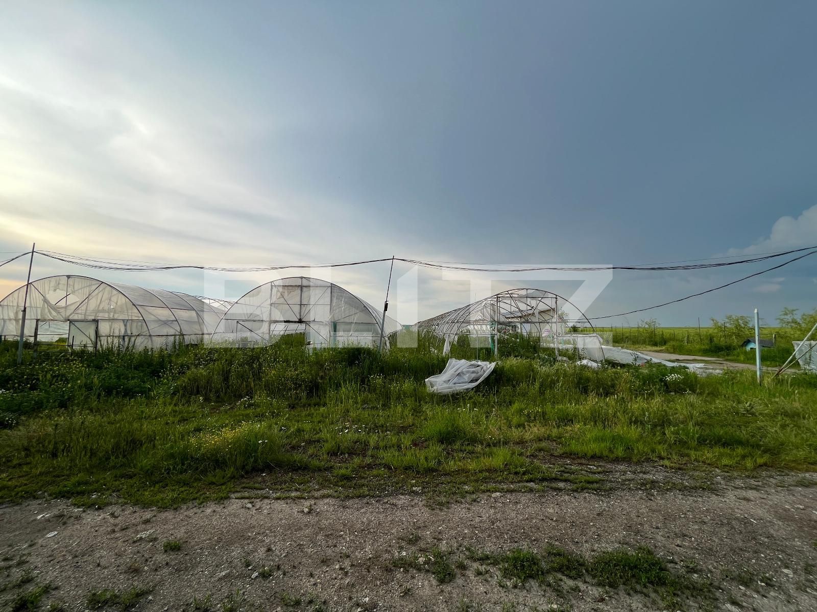 Teren de vânzare Bucovat - 117887TV | BLITZ Craiova | Poza3