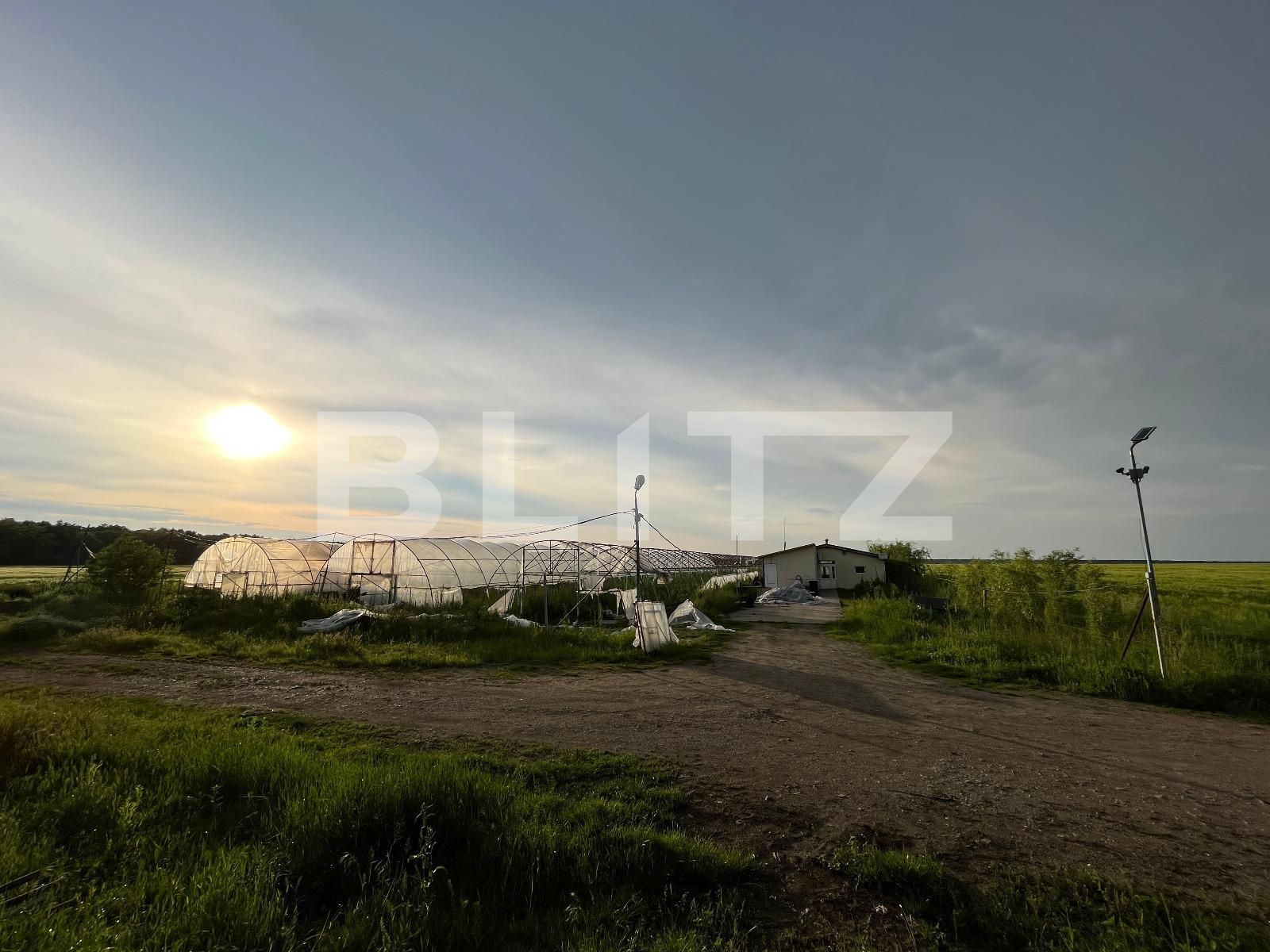 Teren de vânzare Bucovat - 117887TV | BLITZ Craiova | Poza2