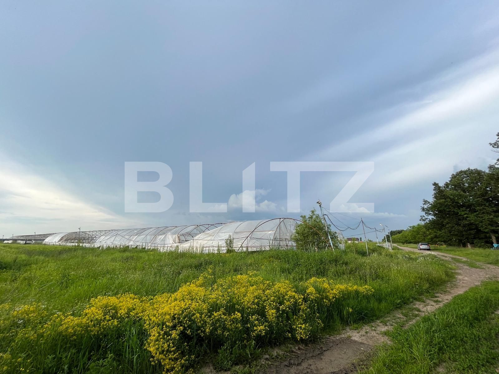 Teren de vânzare Bucovat - 117887TV | BLITZ Craiova | Poza4