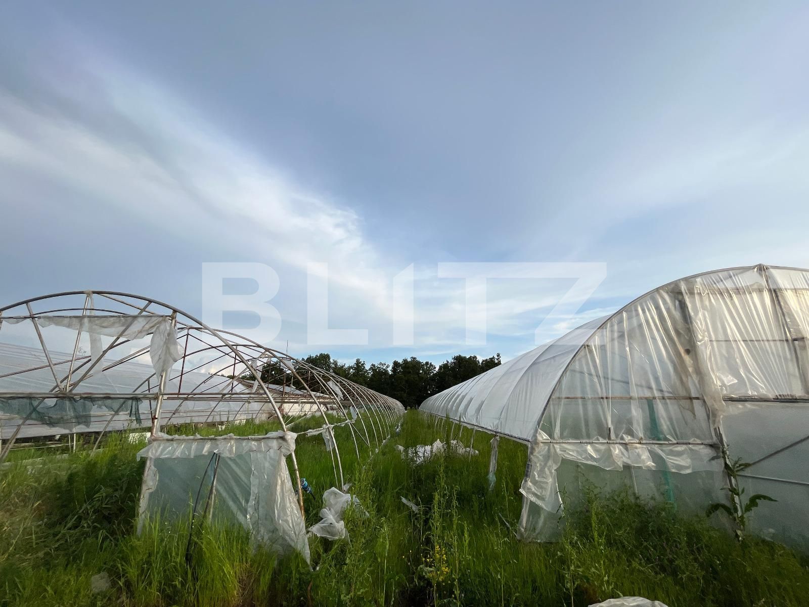 Teren de vânzare Bucovat - 117887TV | BLITZ Craiova | Poza9