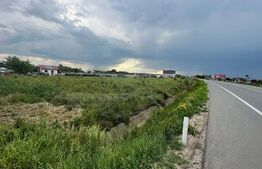 Ocazie! Teren intravilan, 5600 mp, Zona Centura de Nord