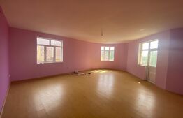 Pensiune, 1033 mp suprafață utila, 1196 mp teren, zona Dudovicesti