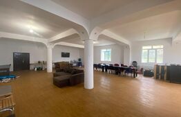 Pensiune, 1033 mp suprafață utila, 1196 mp teren, zona Dudovicesti