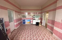 Pensiune, 1033 mp suprafață utila, 1196 mp teren, zona Dudovicesti