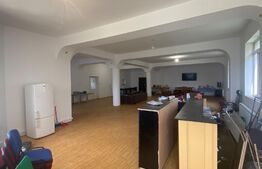 Pensiune, 1033 mp suprafață utila, 1196 mp teren, zona Dudovicesti