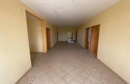 Pensiune, 1033 mp suprafață utila, 1196 mp teren, zona Dudovicesti