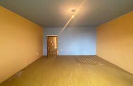 Pensiune, 1033 mp suprafață utila, 1196 mp teren, zona Dudovicesti