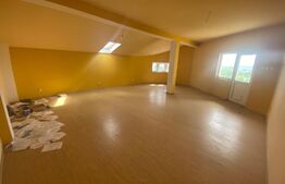 Pensiune, 1033 mp suprafață utila, 1196 mp teren, zona Dudovicesti