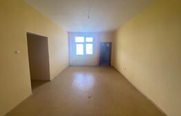 Pensiune, 1033 mp suprafață utila, 1196 mp teren, zona Dudovicesti