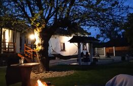 Casă boierească la cheie, 72 mp, curte 747 mp, Vârvorul de Jos