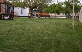 Casă boierească la cheie, 72 mp, curte 747 mp, Vârvorul de Jos