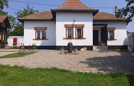 Casă boierească la cheie, 72 mp, curte 747 mp, Vârvorul de Jos