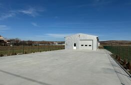 Hală 194 mp utili, platformă betonată 400 mp și teren total de 1.500 mp, Răcari