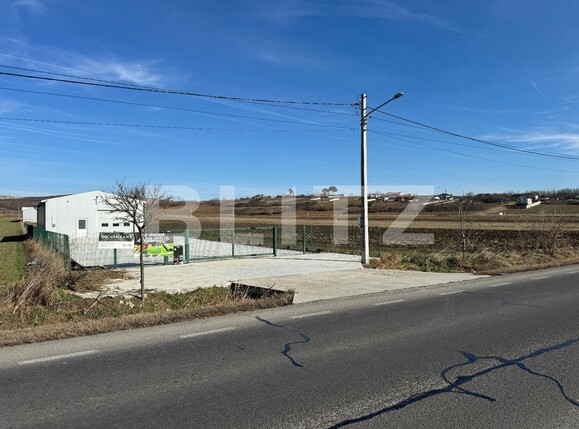 Spațiu industrial de vânzare Exterior Vest - 118035SVI | BLITZ Craiova | Poza1