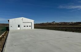 Hală 194 mp utili, platformă betonată 770 mp și teren total de 1.500 mp, Răcari