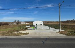 Hală 194 mp utili, platformă betonată 770 mp și teren total de 1.500 mp, Răcari