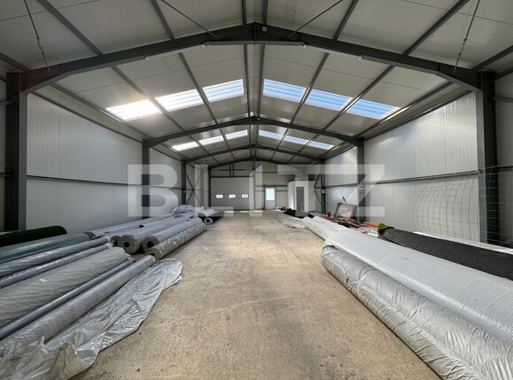 Spațiu industrial de închiriat Exterior Vest - 118039SII | BLITZ Craiova | Poza8