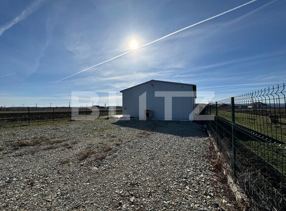 Spațiu industrial de închiriat Exterior Vest - 118039SII | BLITZ Craiova | Poza9