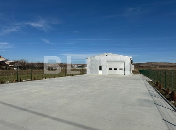 Spațiu industrial de închiriat Exterior Vest - 118039SII | BLITZ Craiova | Poza1