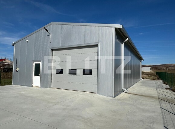 Spațiu industrial de închiriat Exterior Vest - 118039SII | BLITZ Craiova | Poza3