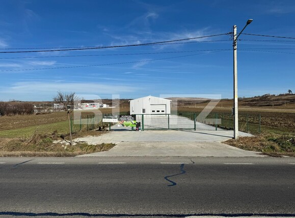 Spațiu industrial de închiriat Exterior Vest - 118039SII | BLITZ Craiova | Poza12