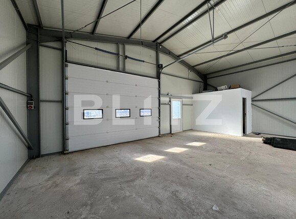 Spațiu industrial de închiriat Exterior Vest - 118039SII | BLITZ Craiova | Poza6