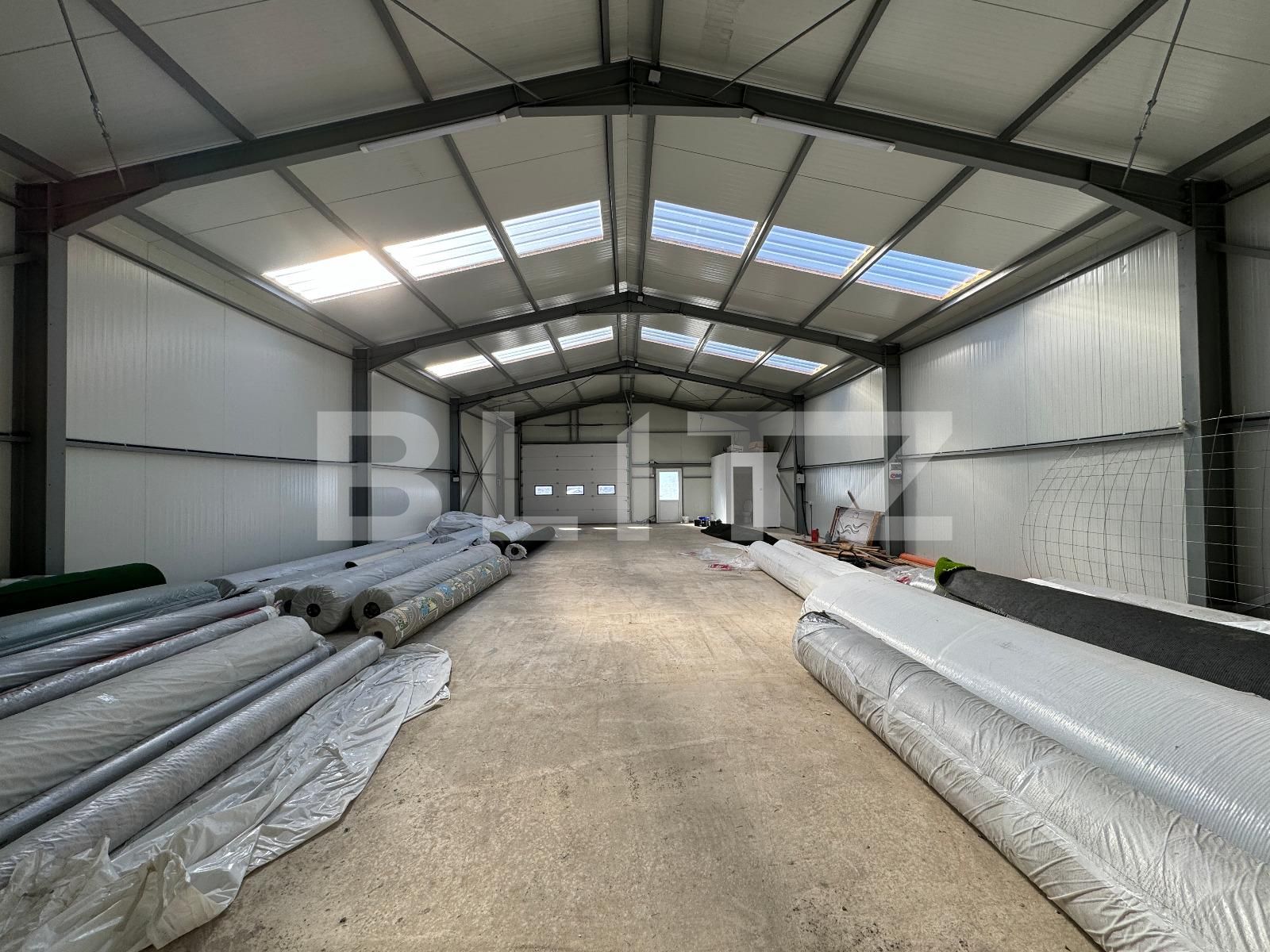 Spațiu industrial de închiriat Exterior Vest - 118039SII | BLITZ Craiova | Poza8