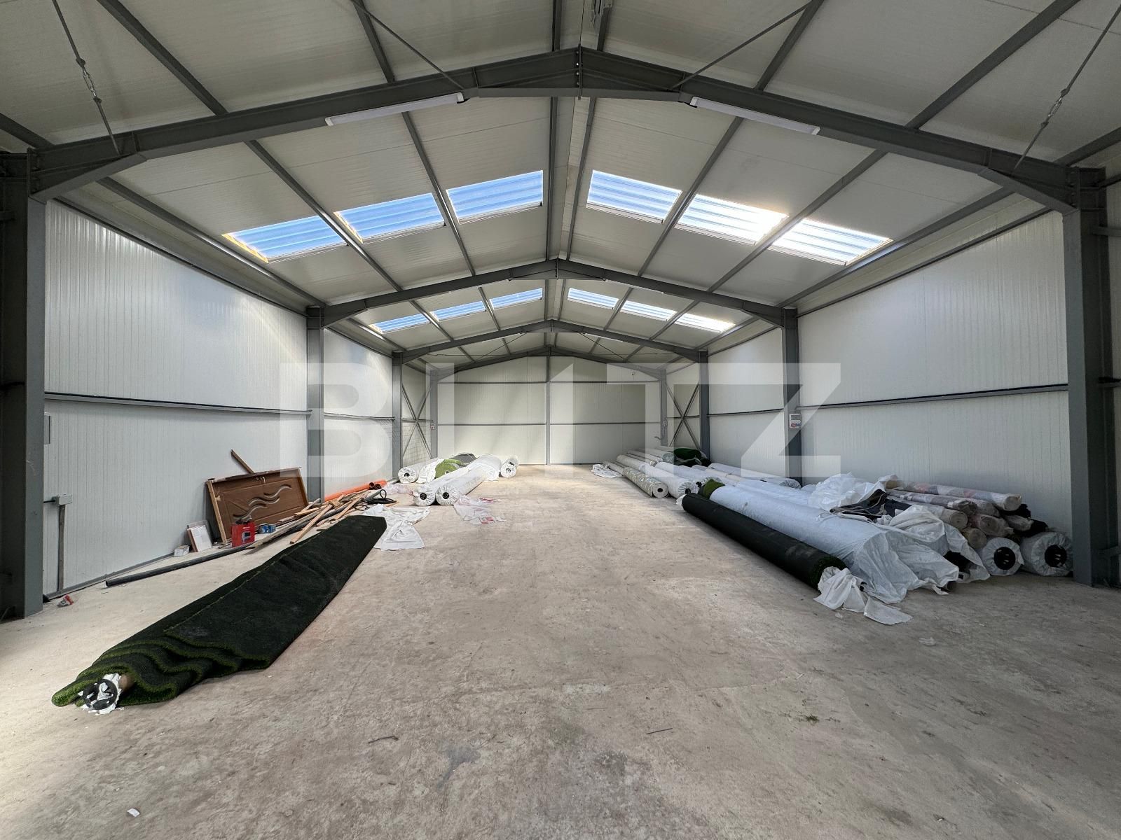 Spațiu industrial de închiriat Exterior Vest - 118039SII | BLITZ Craiova | Poza4