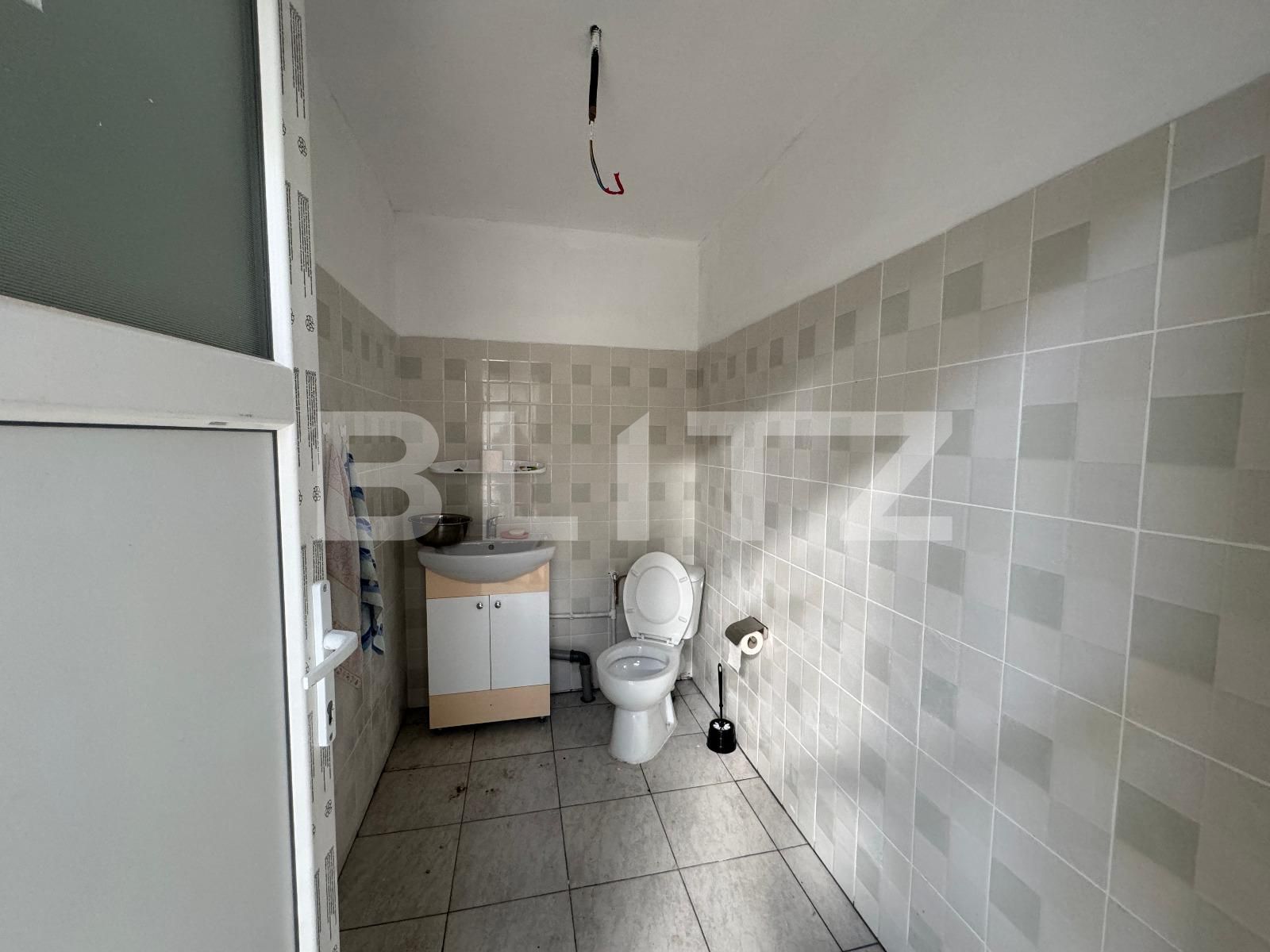 Spațiu industrial de închiriat Exterior Vest - 118039SII | BLITZ Craiova | Poza7