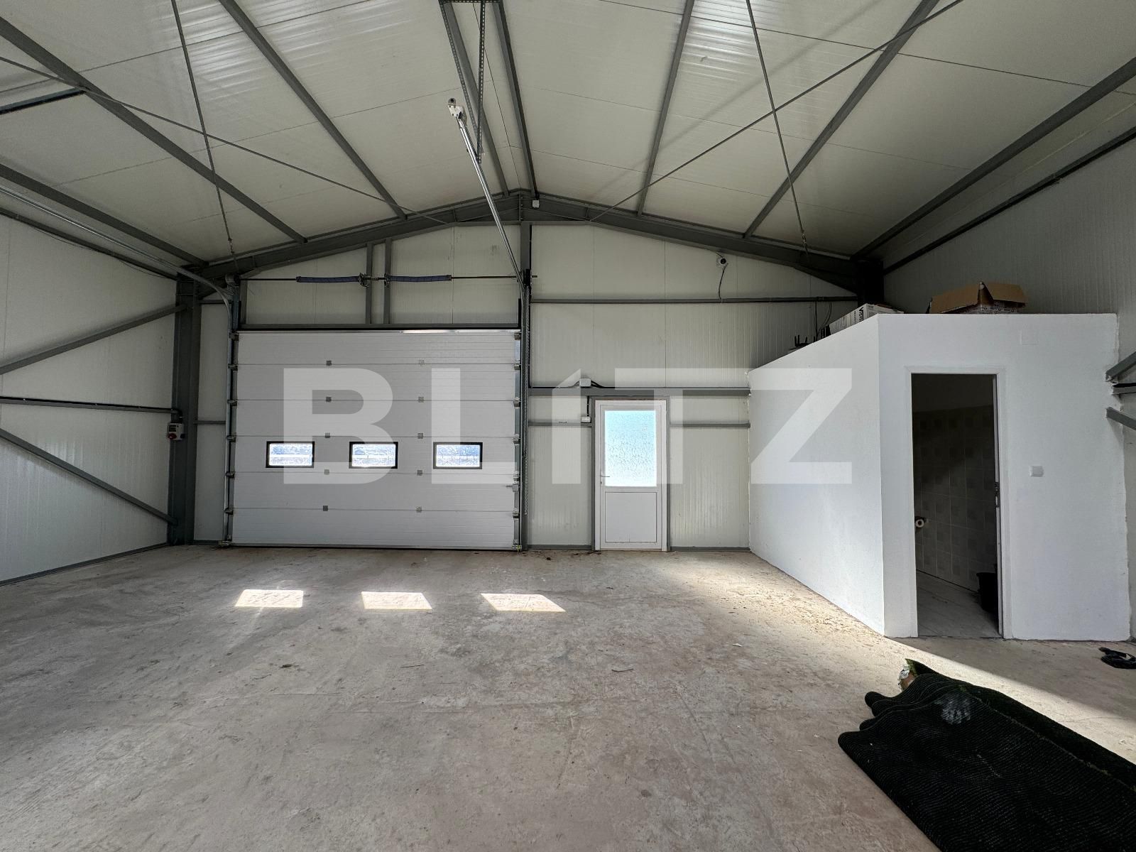 Spațiu industrial de închiriat Exterior Vest - 118039SII | BLITZ Craiova | Poza5