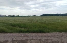 OFERTA!! Teren 1000 mp , în zona Carcea, Hanul cu ponei