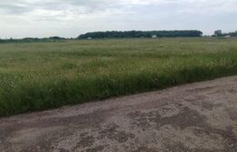 OFERTA!! Teren 1000 mp , în zona Carcea, Hanul cu ponei