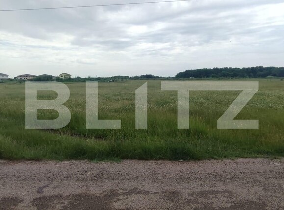 Teren de vânzare Carcea  - 118163TV | BLITZ Craiova | Poza3