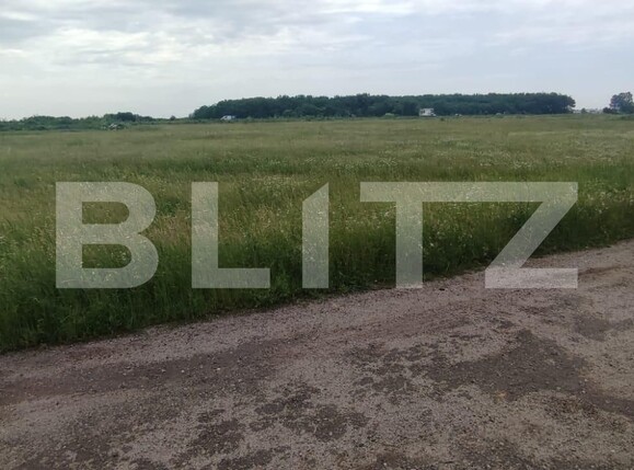 Teren de vânzare Carcea  - 118163TV | BLITZ Craiova | Poza1