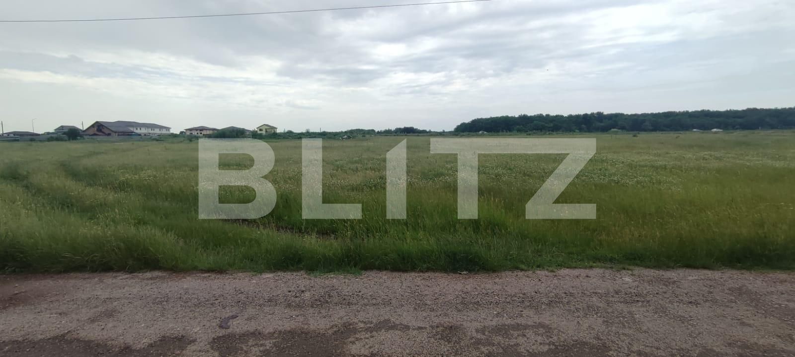 Teren de vânzare Carcea  - 118163TV | BLITZ Craiova | Poza3