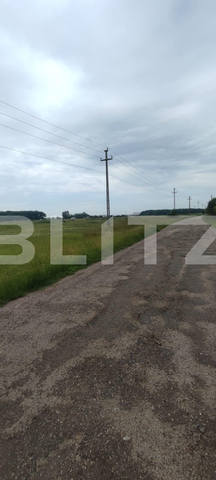 Teren de vânzare Carcea  - 118163TV | BLITZ Craiova | Poza4